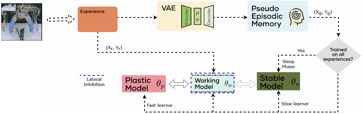 SynapNet algorithm overview